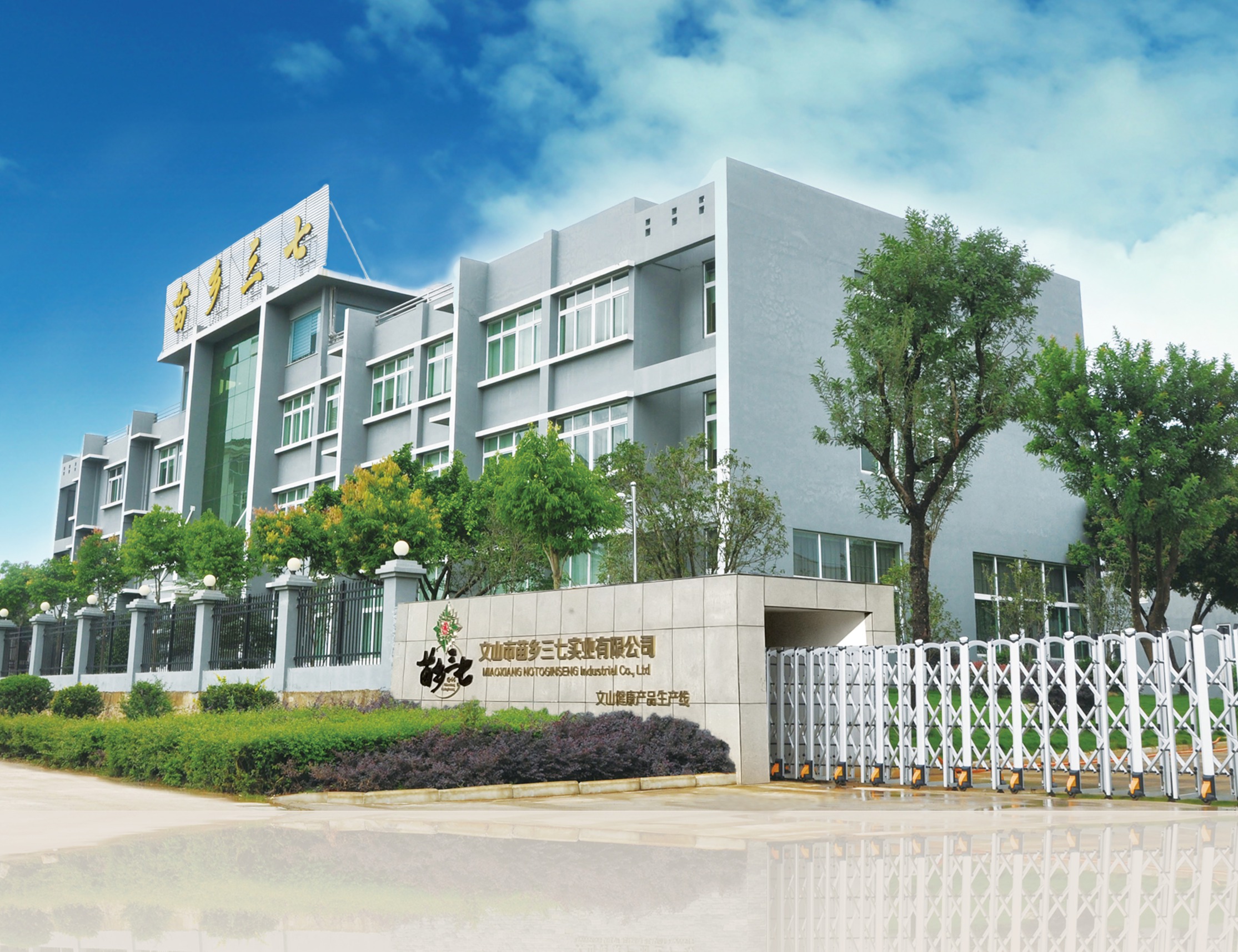 熱烈慶祝文山苗鄉(xiāng)三七實(shí)業(yè)有限公司成立四周年