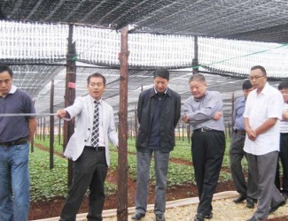 上海市國(guó)內(nèi)合作交流中心考察團(tuán)到文山三七科技示范園調(diào)研