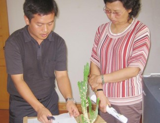 云南省藥監(jiān)局孫燕副局長(zhǎng)會(huì)同文山州人民政府副州長(zhǎng)張秀蘭到苗鄉(xiāng)三七參觀調(diào)研