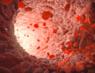 為什么三七被稱為“血管清道夫”？