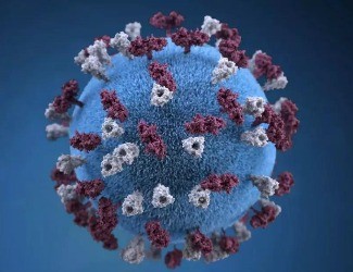 三點(diǎn)告訴您：三七憑什么成為抗“新冠狀病毒肺炎”成員！