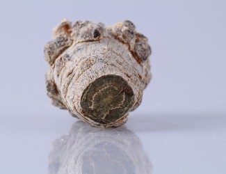 三七粉吃多長時間有效？ 三七品質(zhì)最關(guān)鍵