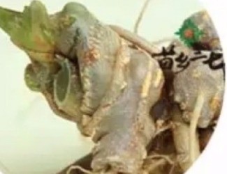 買(mǎi)三七注意事項(xiàng)，帶剪口和不帶剪口的巨大區(qū)別