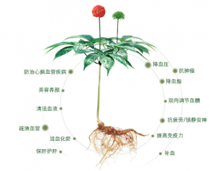 三七救人無國界，美軍飛行員曾受益