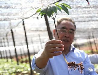 張伯禮院士這樣說三七！