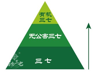 三七有幾個等級？分級依據(jù)是什么？