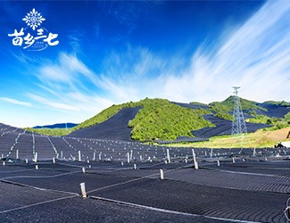 慢性咽炎怎么辦，秋季養(yǎng)生有妙招