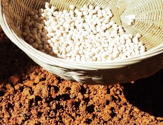 三七的一生——建棚、播種（二）