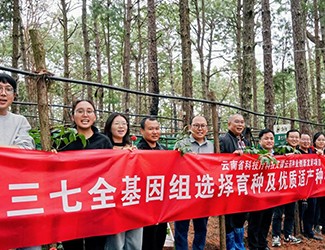 無數(shù)次從零到一，無數(shù)人前赴后繼守護三七“種業(yè)芯片”