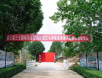 原生境種植三七的意義