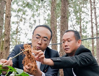 三七良種喜獲豐收，實現(xiàn)產(chǎn)量含量雙突破！