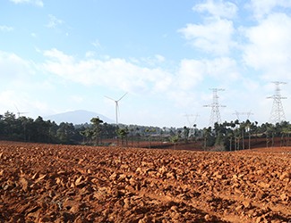 三七土壤危機何解？官會林教授開出“生態(tài)藥方”