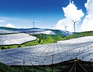 董林林博士如何看待苗鄉(xiāng)全產(chǎn)業(yè)鏈品控管理體系？